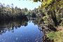 Big Shoals Eyalet Parkı, Suwannee Nehri 6.jpg