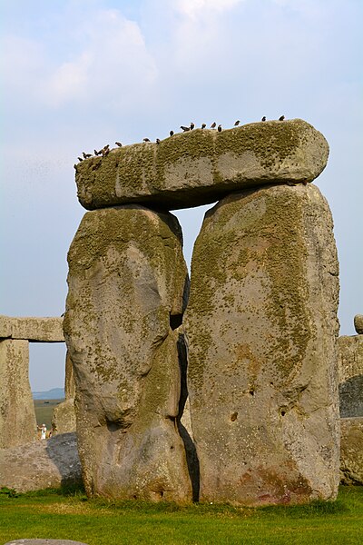 File:Birds on Stonehenge trilithon.jpg