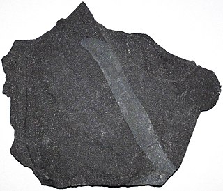 Sunbury Shale