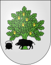 Blason