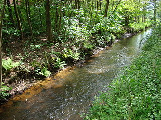 Meiße River in Germany