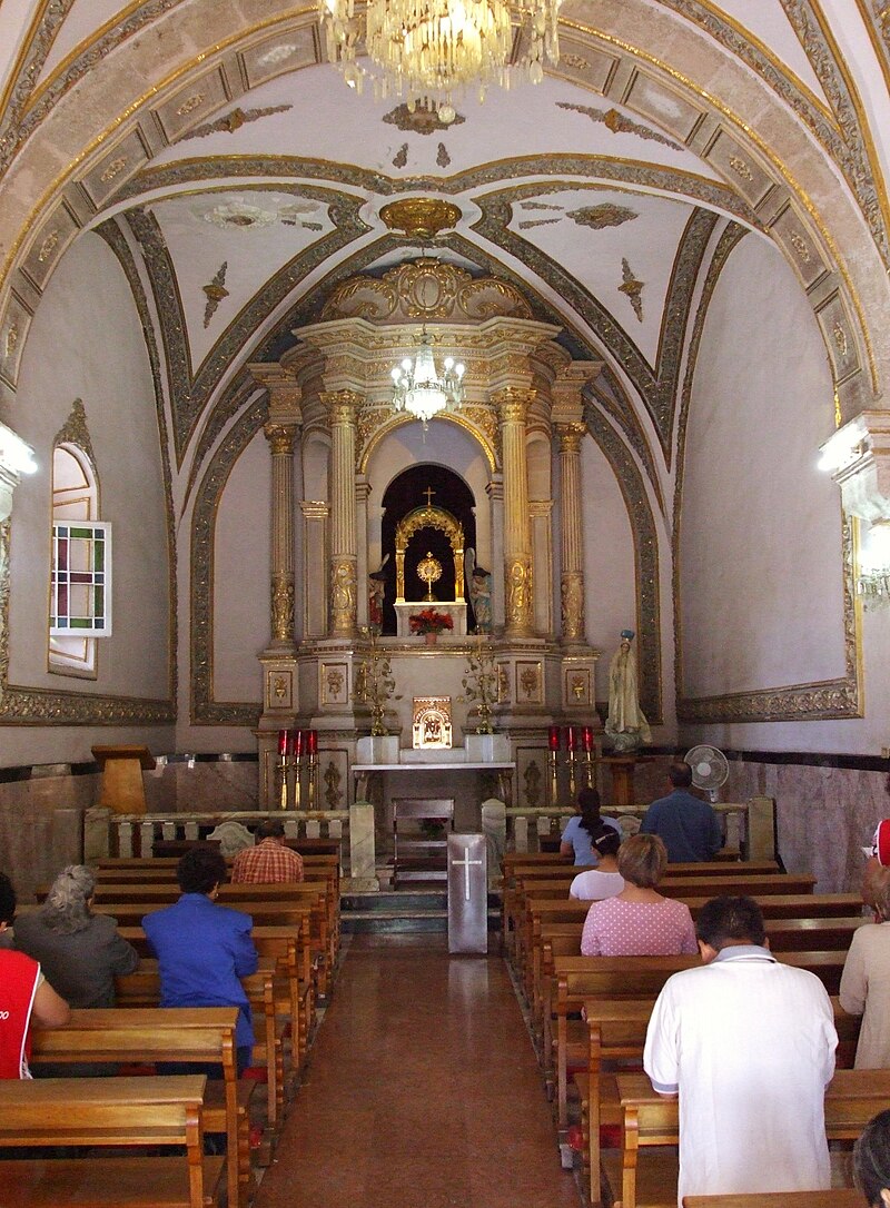 New Liturgical Movement: A Mass of Thanksgiving for Ordination, Sunday June  21, in Louisville, Kentucky