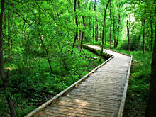 Boardwalk-conestee-park.jpg