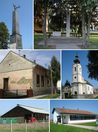 <span class="mw-page-title-main">Bolman</span> Village in Osijek-Baranja, Croatia