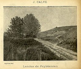 Lande de Peyblancan (Médoc)