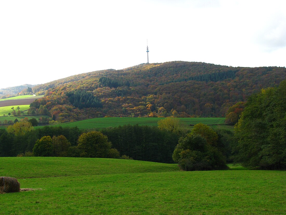 Bornberg (Palatinate)