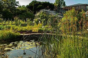 Botanischer Garten am Karlsruher Institut für Technologie