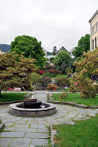 File:Botanisk have 2 Bergen.jpg