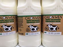 Bottles of Calon Wen semi-skimmed milk Bottles of Calon Wen semi-skimmed milk.jpg