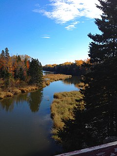 <span class="mw-page-title-main">Brudenell River Provincial Park</span>