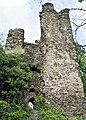 Donjon del castell de Rheinberg, ruïnes prop de Lorch