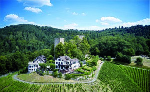 Windeck castle Burg Windeck 2019.jpg