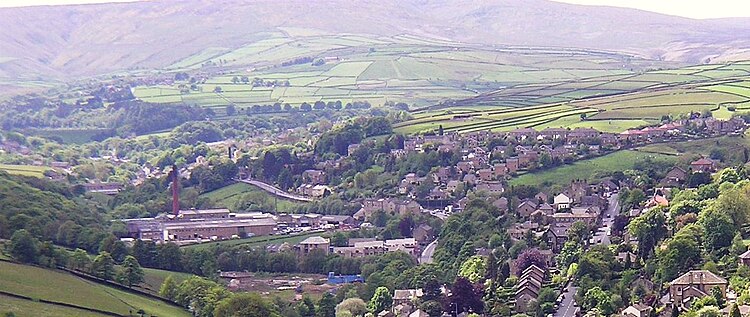 Burnlee Village viewed from Cliffe Lane, above Holmfirth Burnlee 20060521(RLH).JPG