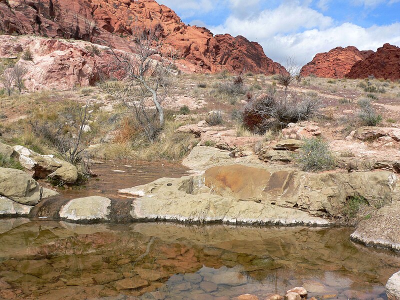 File:Calico Spring 1.jpg