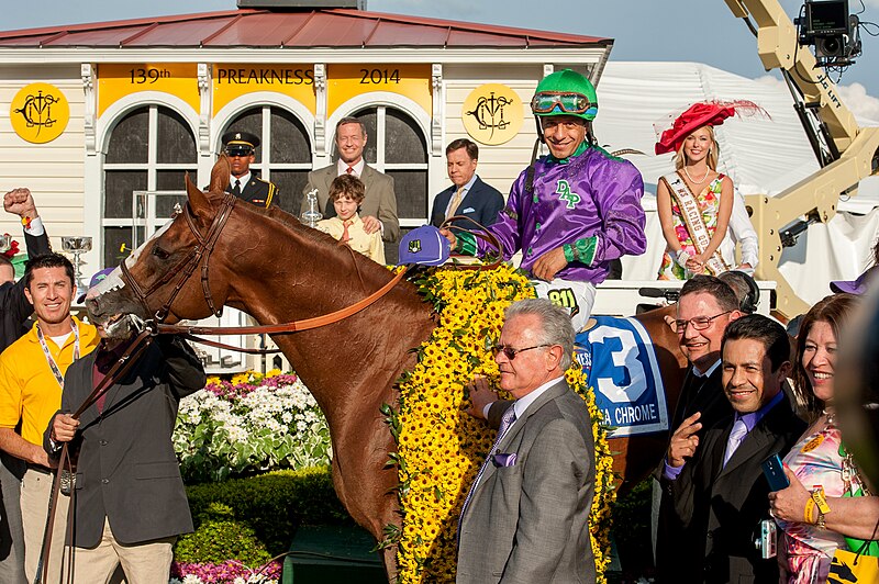 File:California Chrome and Victor Espinoza at 2014 Preakness Stakes.jpg