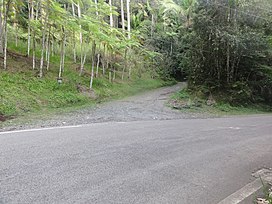 Camino El Bolo, Entrada Norte, Bosque Estutal Toro Negro, Carretera PR-143, Orocovis, Puerto Rico.jpg