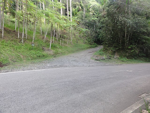 North entrance of Camino El Bolo trail of Toro Negro State Forest at PR-143 in Orocovis
