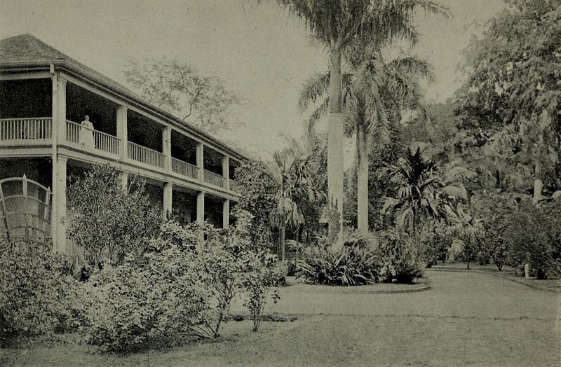 File:Camp Boston in Honolulu (1898).jpg