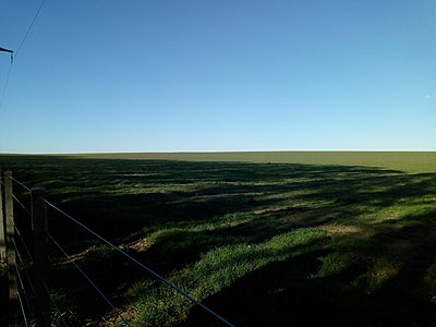 Campo en el partido de Coronel Rosales, a las afueras de la ciudad de Punta Alta