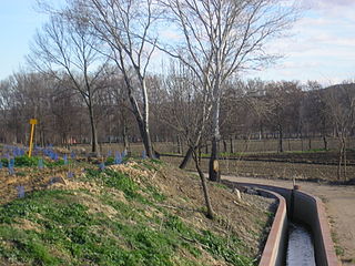 Canal de reigodel Parque Talud Sur de La Montaña /irrigation canal at south bank of La Montaña