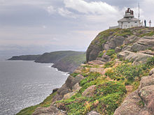 newfoundland tourism