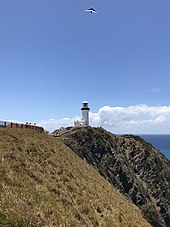 Cape Byron Lighthouse Cape Byron Lighthouse from trail up.jpg