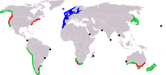 Distribuição do caranguejo-verde no mundo. Azul = distribuição nativa; Vermelho = zonas invadidas; Verde = potencialmente invadida; Pontos pretos = registros ocasionais.