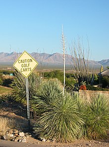 Golf carts are popular in Green Valley Caution golf carts.jpg