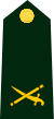 Cdn-Army-BGen(OF-6)-2014.svg