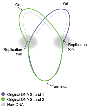 Theta structure