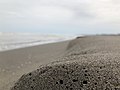 Coastal sand.jpg