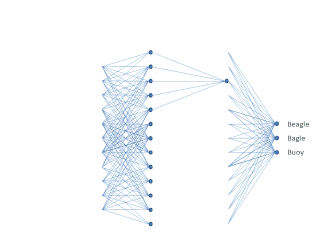 File Convolutional Neural Network Gif Wikimedia Commons