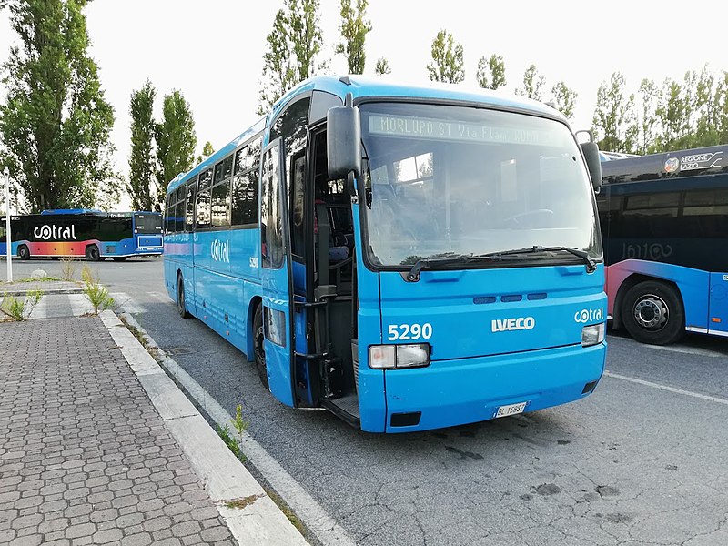 File:Cotral Iveco Euroclass 5290.jpg