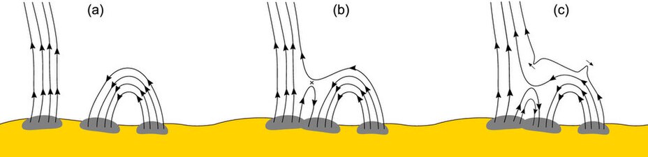 Close to the Sun, and especially above active regions, there are open and closed magnetic field lines. The closed lines are loops of magnetism that arch up into the solar atmosphere before curving round and disappearing back into the Sun.