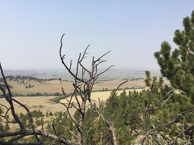 File:Crows Nest, looking North.jpg