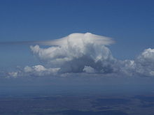 Cumulus mediocris (V-61) pileus Cumulus pileus.jpg