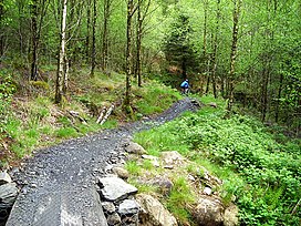 Siklus Trail di Kirroughtree Hutan - geograph.org.inggris - 431790.jpg