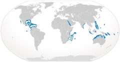 Cypron-Range Carcharhinus albimarginatus.svg