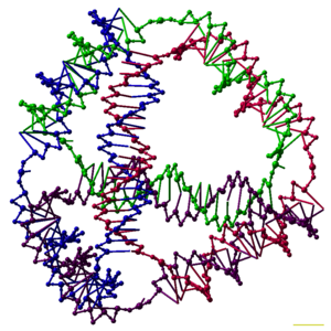 DNA nanotechnology involves forming artificial, designed nanostructures out of nucleic acids, such as this DNA tetrahedron. Each edge of the tetrahedron is a 20 base pair DNA double helix, and each vertex is a three-arm junction. The 4 DNA strands that form the 4 tetrahedral faces are color-coded. DNA tetrahedron white.png