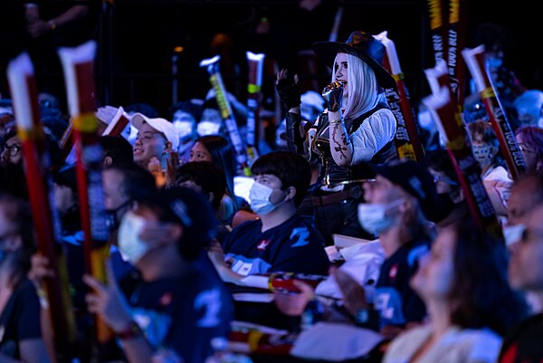 Fans watching the "Battle for Texas" match between the OWL's Dallas Fuel and Houston Outlaws