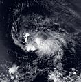 Image of Tropical Storm Dannyof the 1991 Atlantic hurricane season on September 9, 1991.