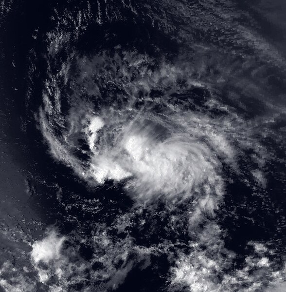 1991 Atlantic hurricane season