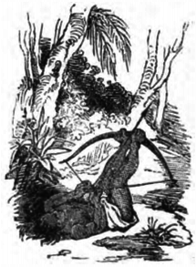 Defoe - Robinson Crusoé, Borel et Varenne, 1836, illust page 335.png