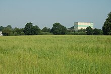 Eine der mit dioxinhaltigem Papierschlamm belasteten Grünflächen im Südosten der Stadt