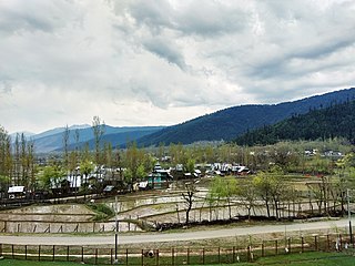 Diver Anderbugh Village in Jammu and Kashmir, India