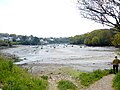 L'Anse de Doëlan à marée basse.