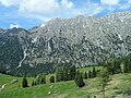 * Nomination The Dolomites, Puez Odle National Park, (Funes-Santa Magdalena), in South Tyrol. --Marrovi 13:50, 10 June 2017 (UTC) Comment Please give a better indication of the location --Moroder 16:24, 10 June 2017 (UTC) CommentPuez Odle National Park, (Funes-Santa Magdalena)--Marrovi 02:04, 11 June 2017 (UTC) * Decline Thanks but it shoul stay in the file description. Unfortunately the image sharpness is notQI. The composition is very good. --Moroder 04:31, 12 June 2017 (UTC)