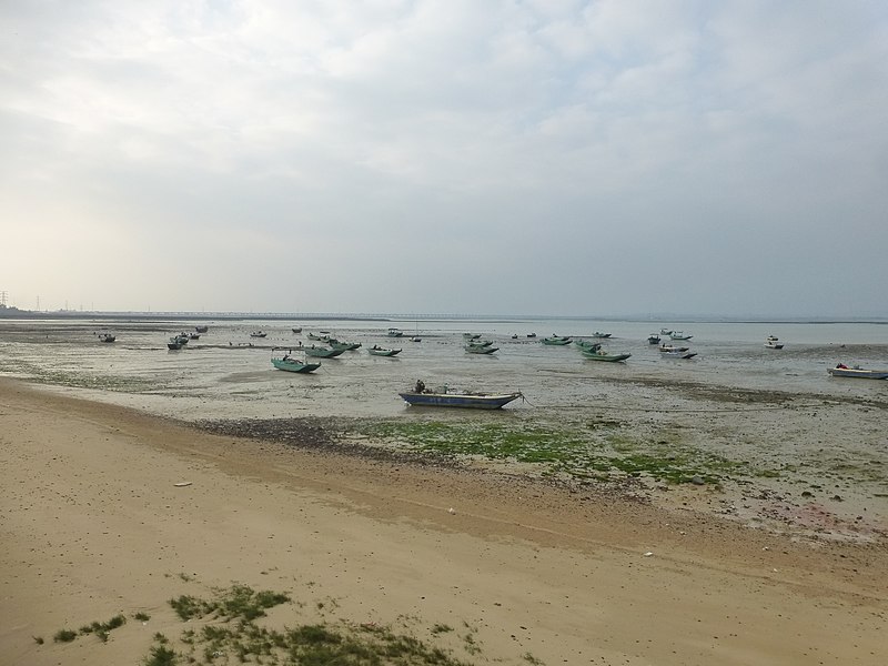 File:Donghai Island - P1580337 - Longtou - seashore and ducks.JPG