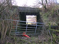 The route of the Scotch Gauge line to the old coal pits. Doura waggonway overbridge.JPG