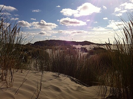 Duinen van Texel